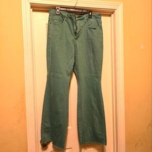 Judy Blue Flare Demin